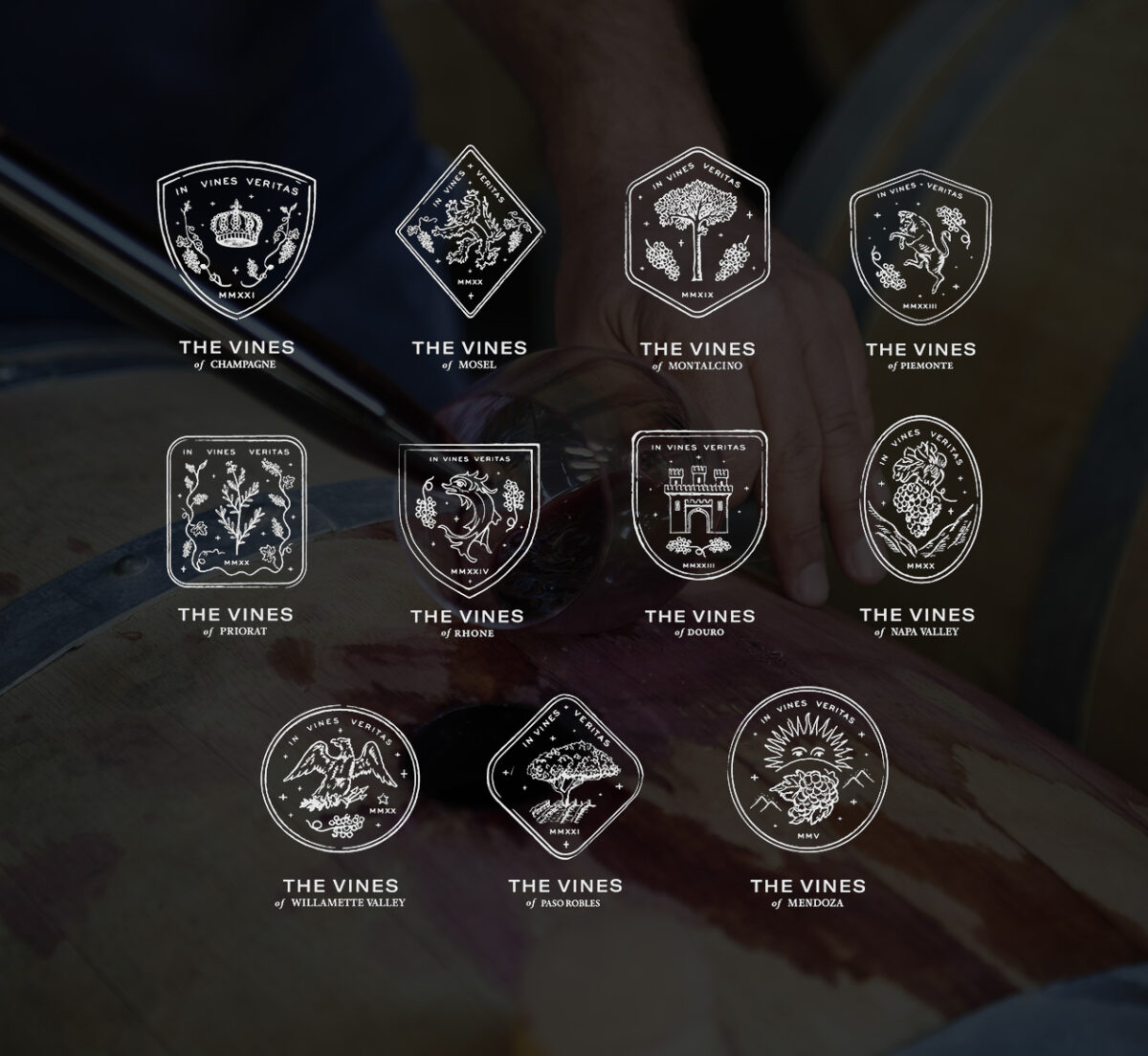 Master Vinters The Vines Global – The vines of Mendoza